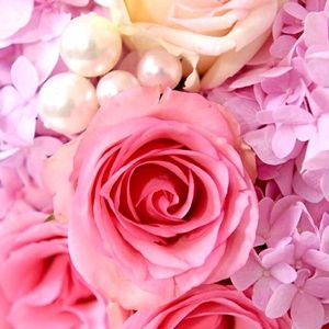 Meet your Posher, Jill